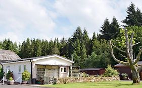 Fir Tree Cottage - Ukc646